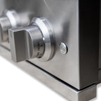Pro Double Side Burner